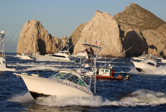 Cabo Sport Fishing